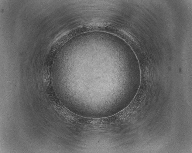 X0000068741015200605051445