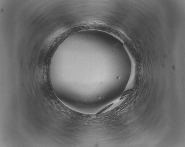 X0000068741016200605051445