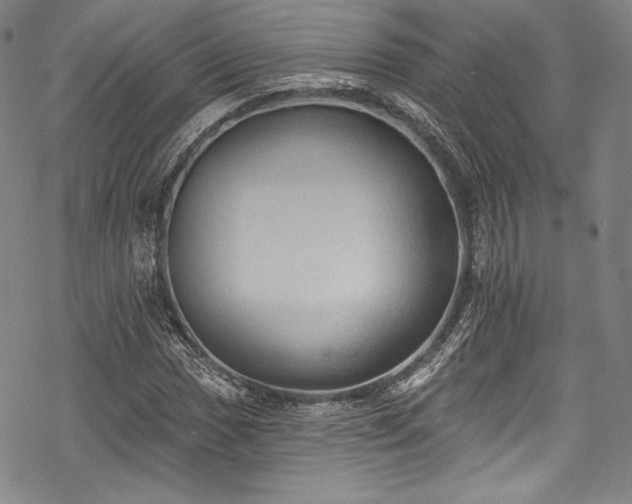 X0000068741017200605051445