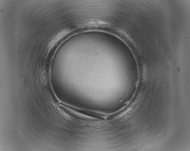 X0000068741018200605051445