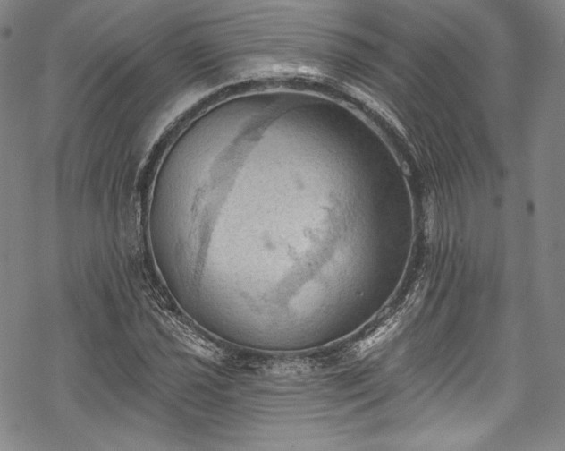 X0000068741021200605051445