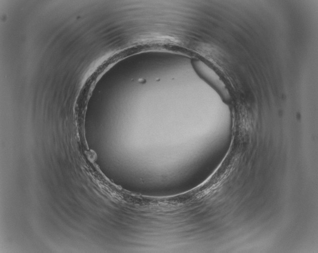 X0000068741022200605051445