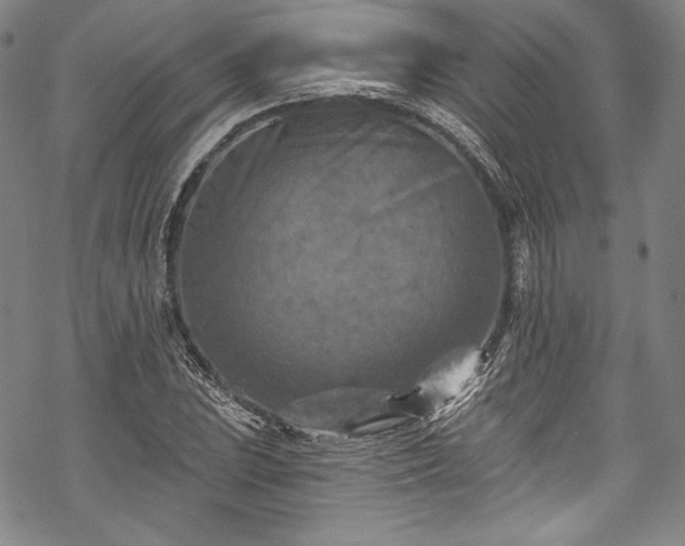 X0000068741023200605051445