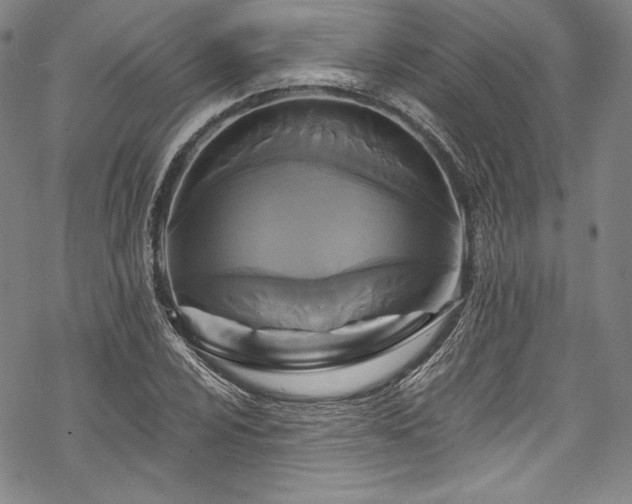 X0000068741024200605051445