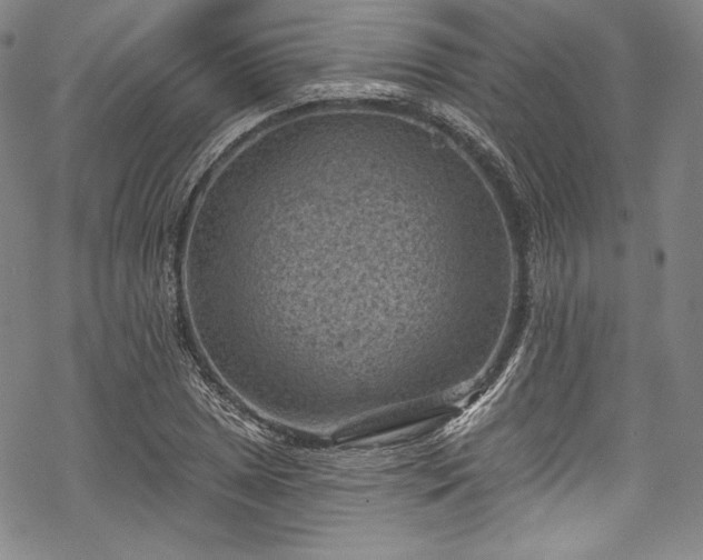 X0000068741025200605051445