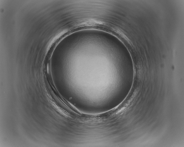 X0000068741026200605051445