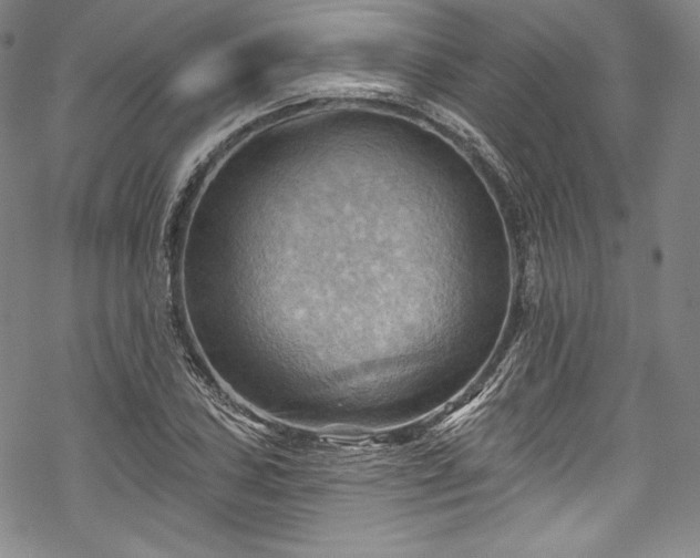 X0000068741027200605051445