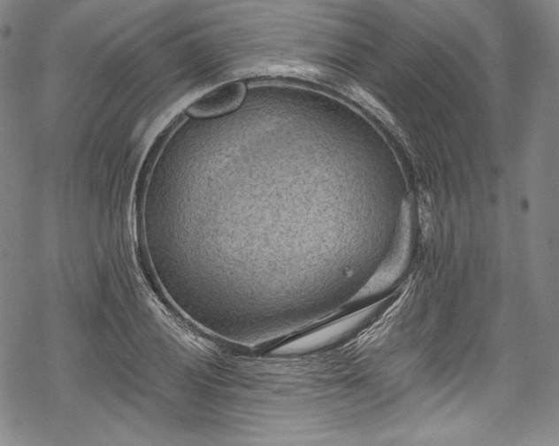 X0000068741028200605051445