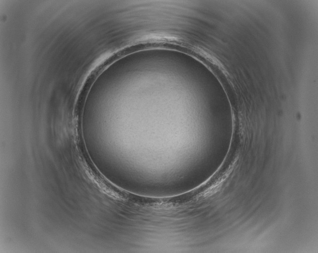 X0000068741029200605051445