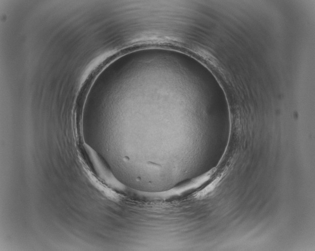 X0000068741030200605051445