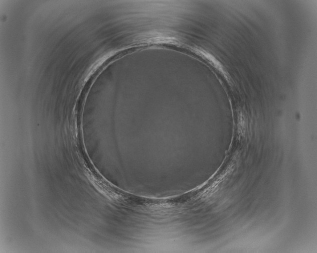 X0000068741031200605051446