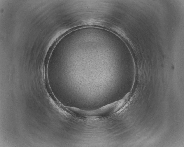 X0000068741032200605051446