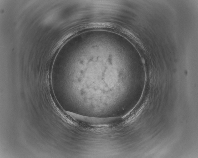 X0000068741033200605051446