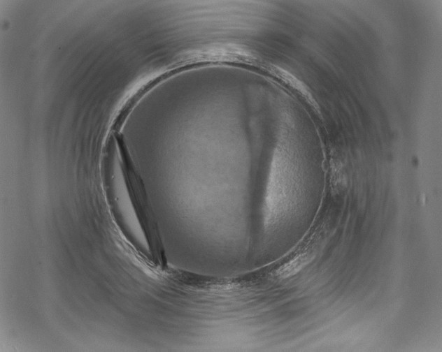 X0000068741035200605051446