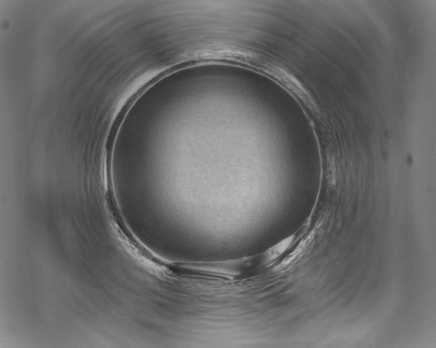 X0000068741036200605051446