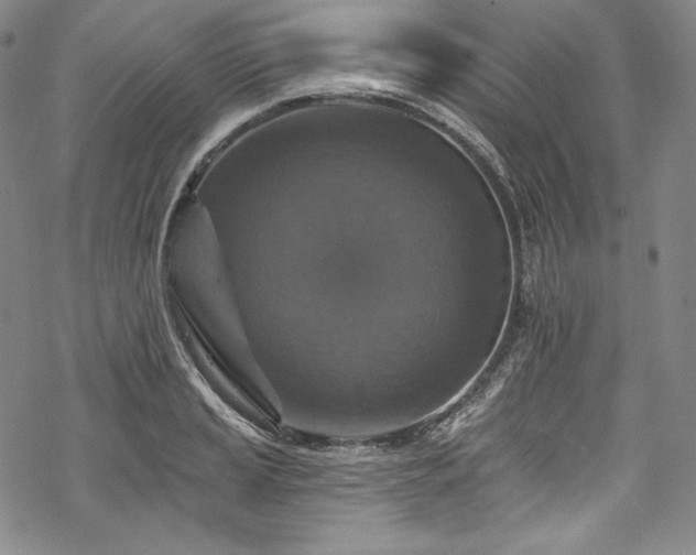 X0000068741037200605051446