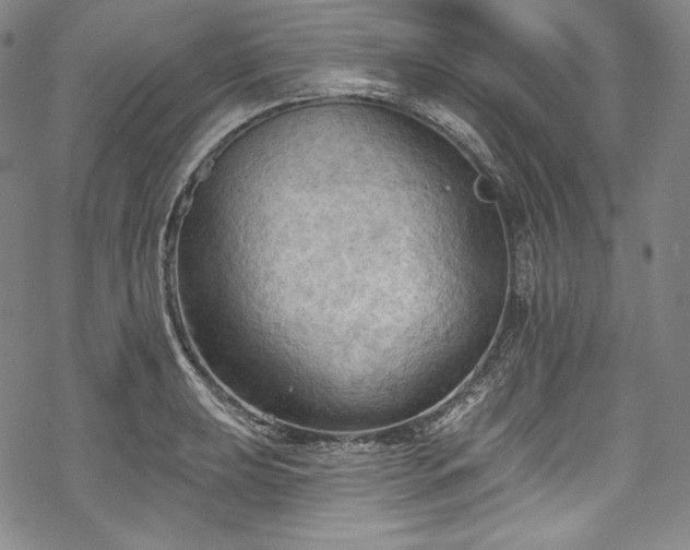 X0000068741039200605051446