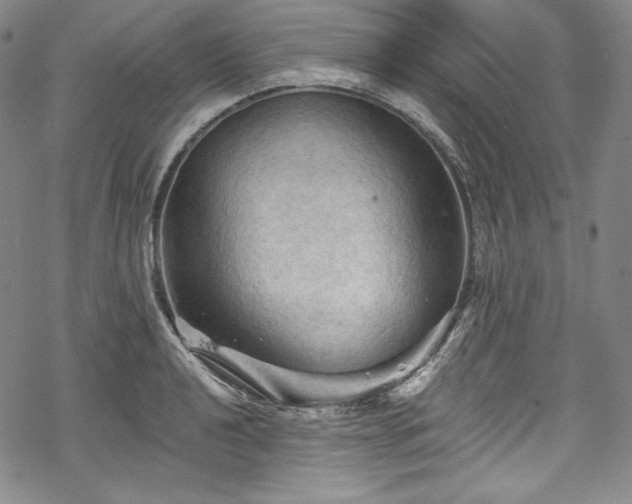 X0000068741040200605051446