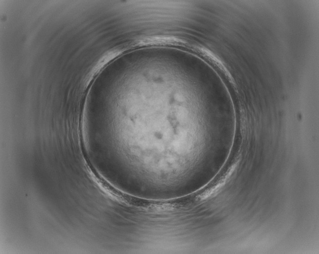 X0000068741041200605051446