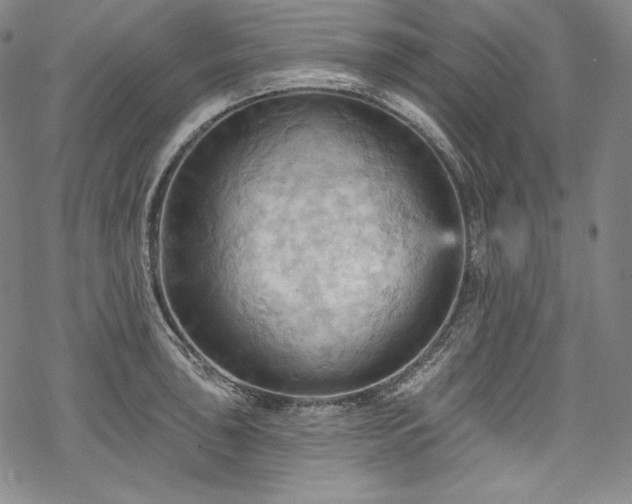 X0000068741043200605051446