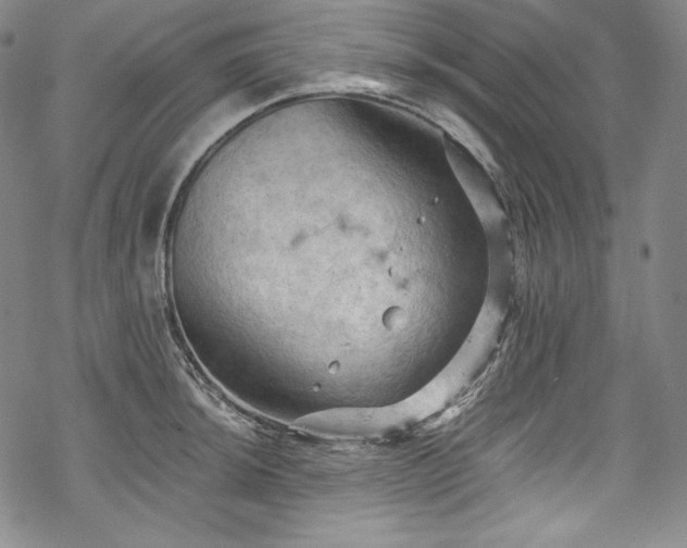 X0000068741044200605051446