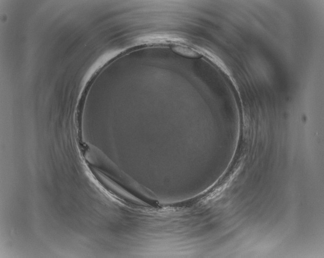 X0000068741045200605051446