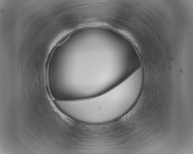 X0000068741046200605051446