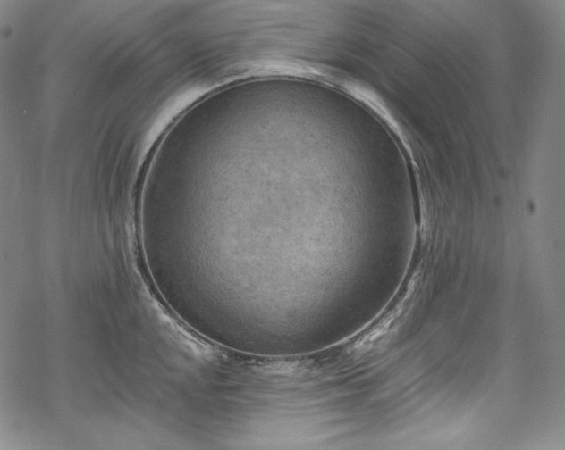 X0000068741048200605051446