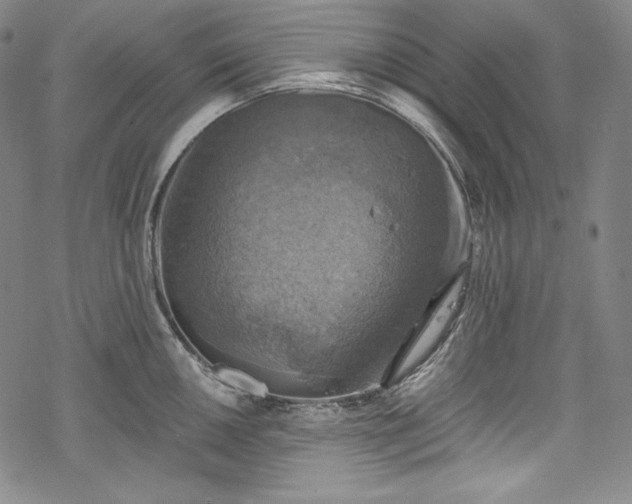 X0000068741050200605051446