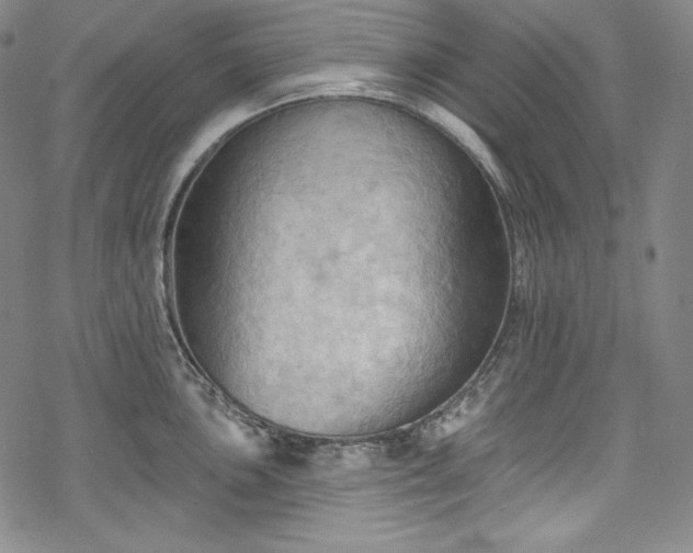 X0000068741051200605051446