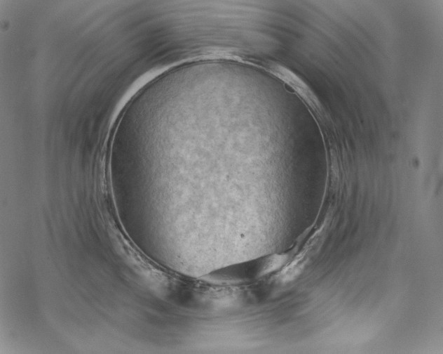 X0000068741052200605051446