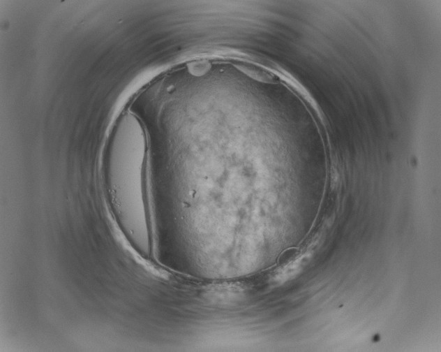 X0000068741053200605051446