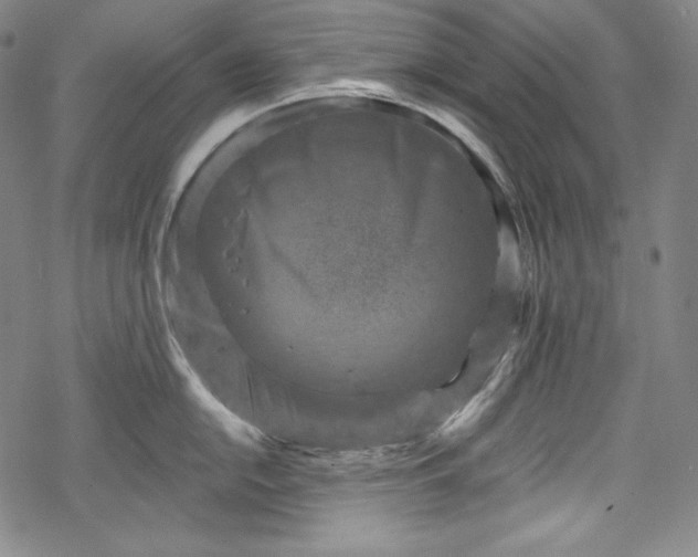 X0000068741054200605051446