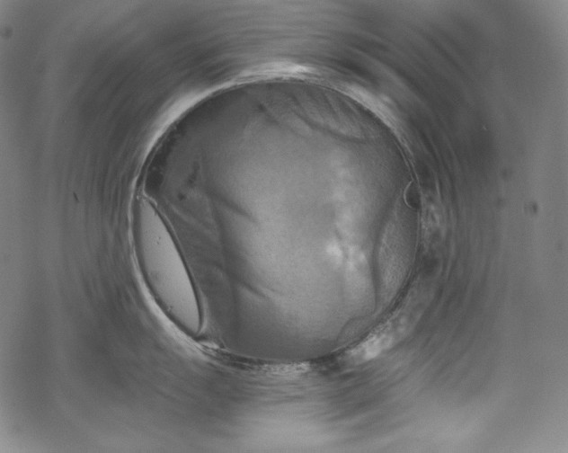 X0000068741055200605051446