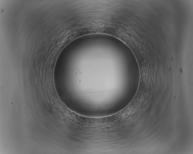 X0000068741057200605051445