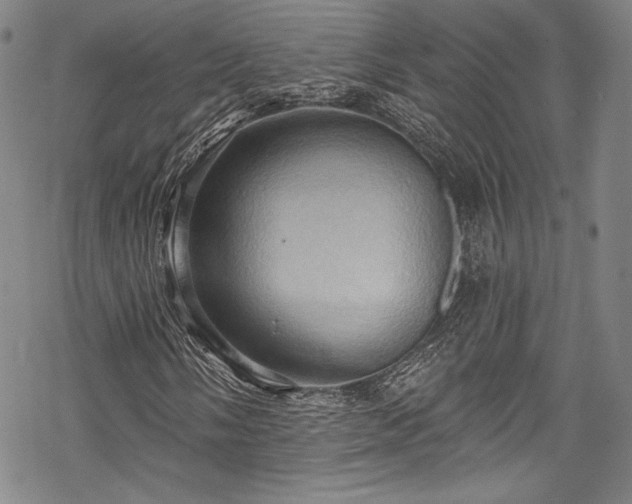 X0000068741058200605051445