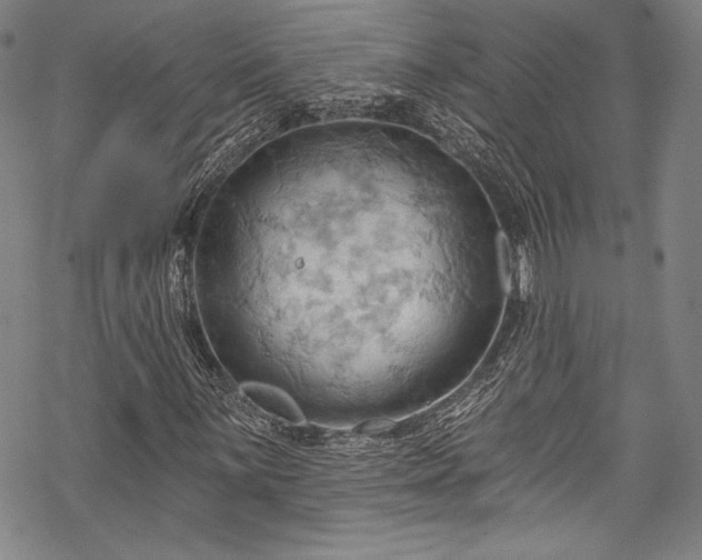 X0000068741059200605051445