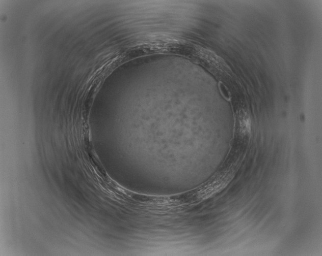 X0000068741060200605051445