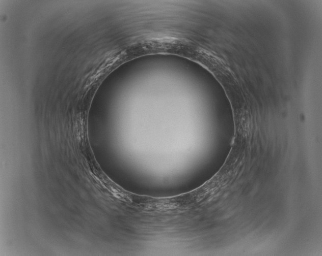 X0000068741061200605051445