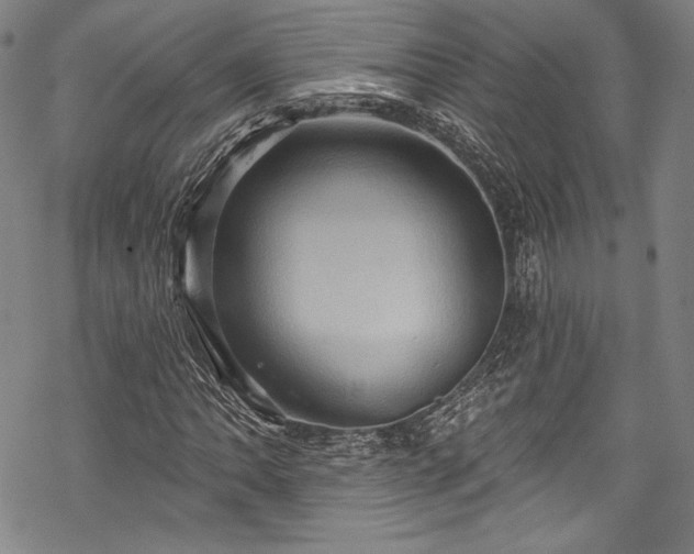 X0000068741062200605051445