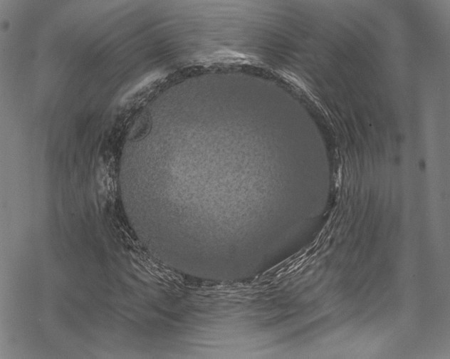 X0000068741063200605051445