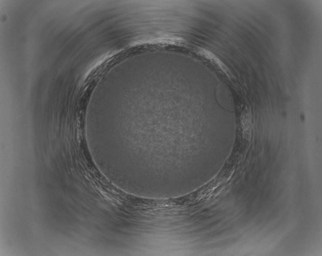 X0000068741064200605051445