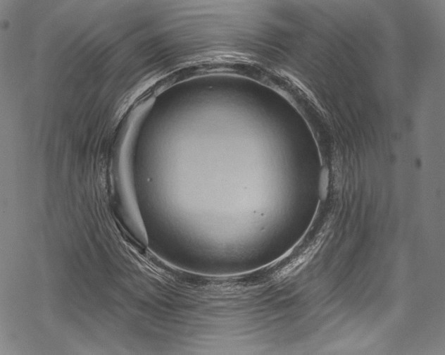 X0000068741065200605051445