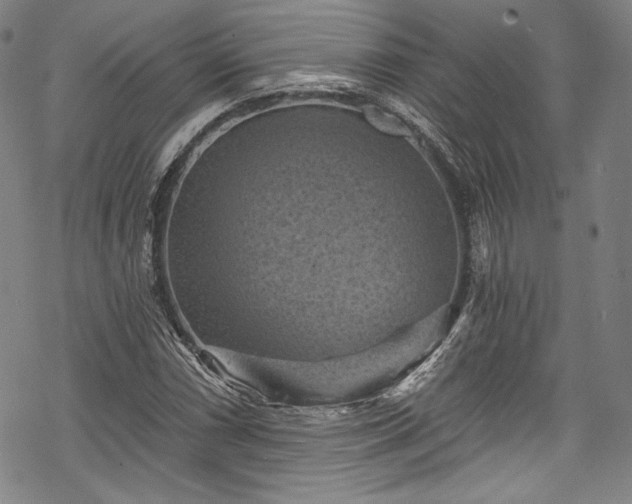 X0000068741066200605051445