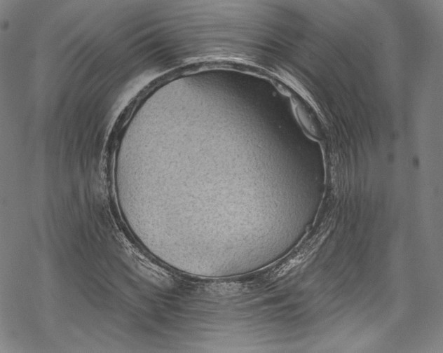 X0000068741068200605051445