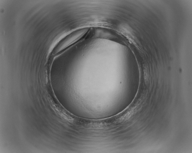 X0000068741069200605051445