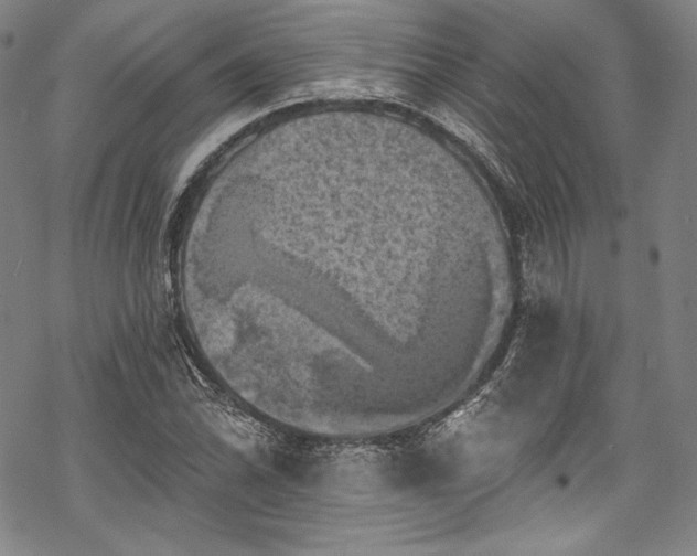 X0000068741070200605051445