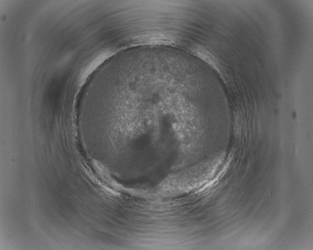 X0000068741071200605051445