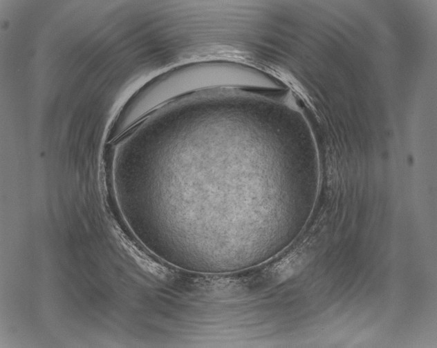 X0000068741072200605051445