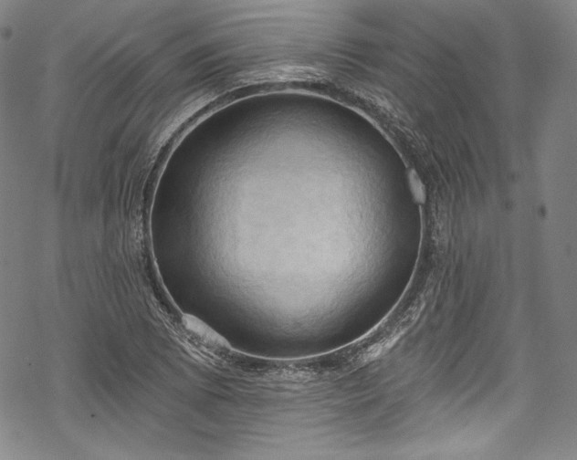 X0000068741073200605051445